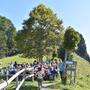 Herbstwanderung SE Goldingen