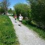 Projektwoche 4.-8. Mai 2015, WWF-Lauf